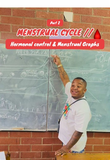 Hormonal Control in the Menstrual Cycle: Part 2
