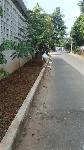 Kegiatan Pemasangan Rumput Taman dan Penanaman Pohon Pelindung.