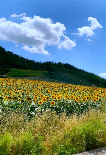 01irfan (@irfan01aydin) adlı kullanıcının orijinal ses - 🥀SessizBirAdam🥀 ile oluşturduğu videoları