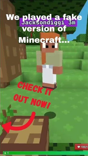 We played a fake version of Minecraft #viral #minecraft #viralvideo