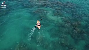 148K views · 595 reactions | Bixpy takes Hawaii! The Bixpy motor was the perfect way to navigate through all of the coral reefs and get to the perfect snorkeling spot! Get yours today at https://bixpy.com | Bixpy | Facebook
