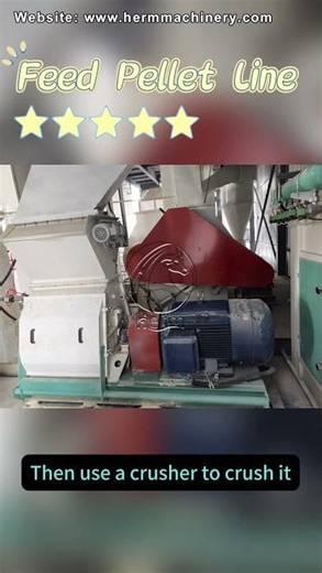 How to Produce High-Quality Animal Feed at 8-12 Tons/Hour | Herm Machinery #feedpelletmills