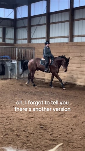 this is so stupid #riding #horseoftiktok #horses #fypviralシ゚ #unshadowbanned