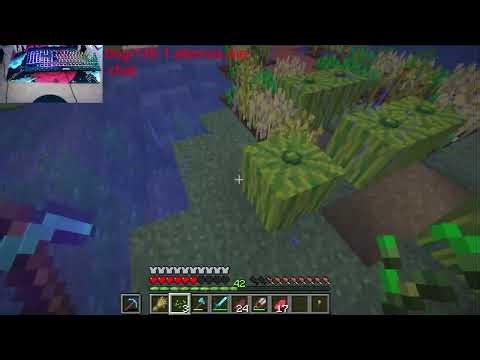 zock minecraft kommt gerne den server ist java