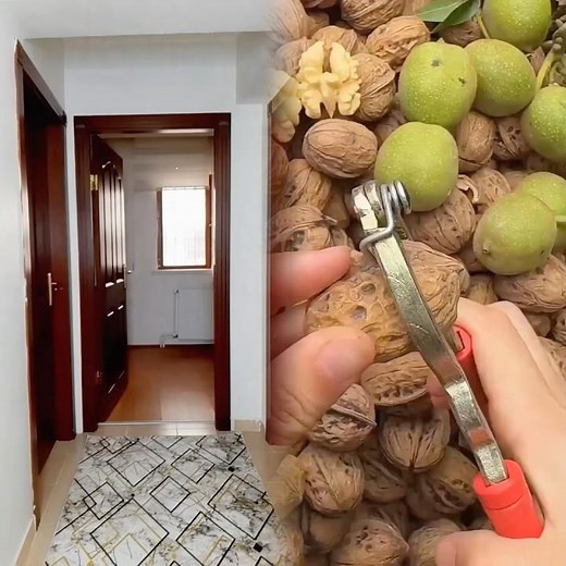 أبو عباده هيبه 😅💔 obada kauoge