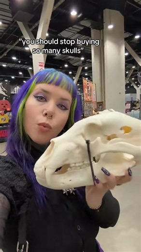 No such thing as too many skulls 💀 💀 Visit Oddities.com for more info about our upcoming events!