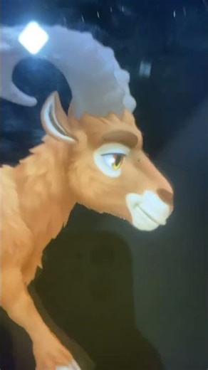 Animals run cycle animations