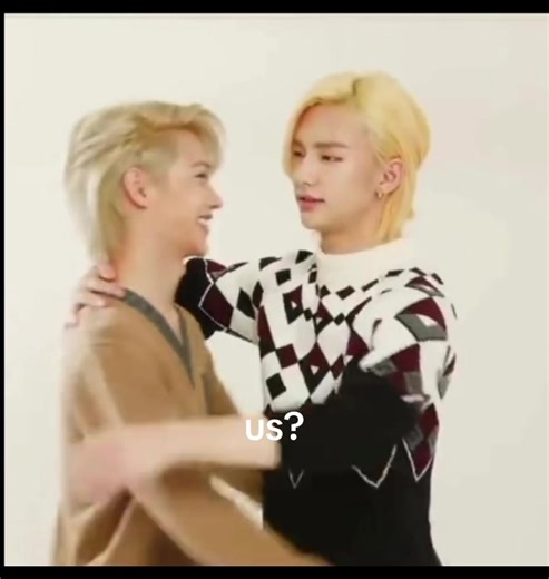 Hyunjin e Felix: Un'Avventura su BookTok