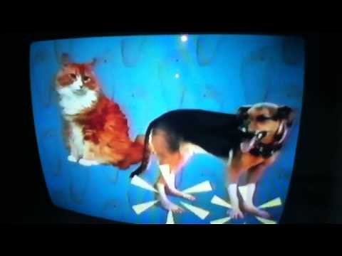 Elmo's World Quiz Season 35 Episode 17: Feet