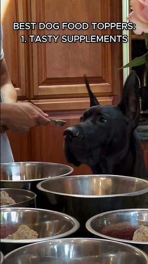 Raw Diet For Dogs - The Best Raw Dog Food On The Market