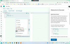 404-IK分词器_哔哩哔哩_bilibili