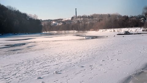 clip-3995791375-swan-ducks-wintering-on-frozen-river