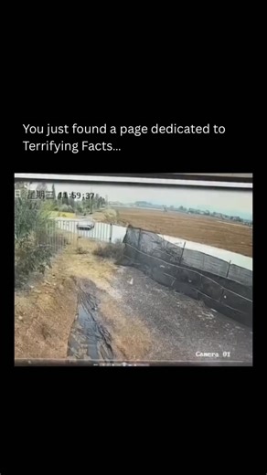 Terrifying As Facts on Instagram: "🫣 🎬: On March 19, 2025, an electric vehicle, a Dongfeng Voyah 007, veered off a road in Yunnan and crashed violently. Seconds later, flames erupted from the wreck. Video shows smoke swallowing the cabin as panic spread. What started as a drive became a race against fire for those trapped inside. Reports claim electronic doors failed after impact, trapping passengers inside. Bystanders smashed windows to pull victims free, but time ran out for the front passen