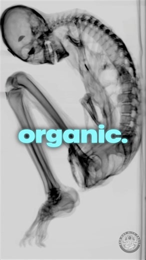 X-Rays Proved Extraterrestrials Were Real