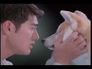 金城武 - 标准情人