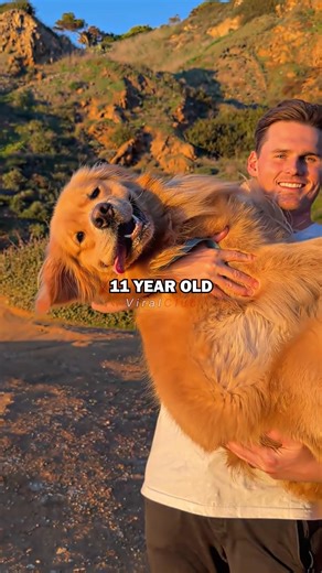 Cloning Your Pet Explained By Joe Rogan
