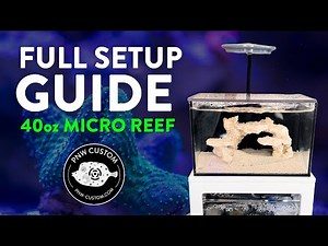How to Set Up a PNW Custom 40oz Micro Reef Tank | Full Setup Guide