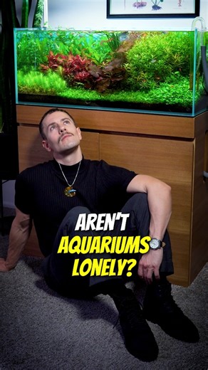Logan Rando Aquascaping on Instagram: "In a world of brain rot, aquariums demand our focus and love 💚 . . . #aquariums #aquascaping #plantedtank #fishtank"