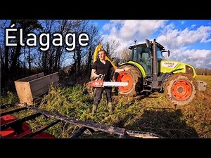 ÉLAGAGE DES HAIES