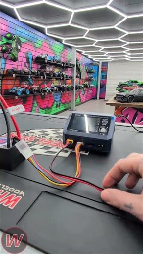 SkyRC D100neo AC/DC Dual Charger Unboxing & First Look | Wheelspin Models