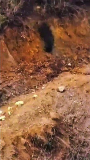 Into America’s Wild Frontier | Extreme Outdoor Adventure 🌲🦌