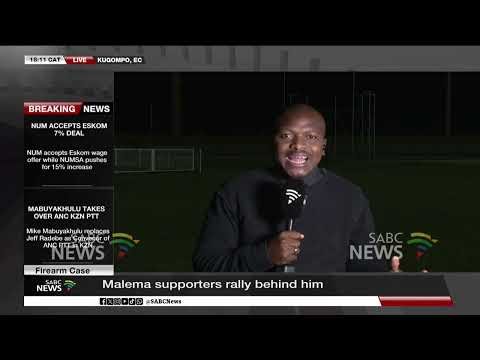 Malema Firearm Case | Malema supporters rally behind him: Sidima Mfeku updates