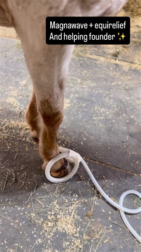 72 reactions · 4 comments |  Understanding the Power of MagnaWave...