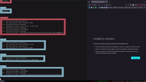 Run all your .NET Projects/Services Simultaneously using a cli