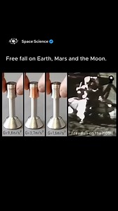 291K views · 1.2K reactions | The sensation of free fall varies...