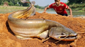 118K views · 509 reactions | Big Stuck Fish Catching in River Flowing Water Dry Place Secret Hole #fishing #fish #fishinglife | Catch Fish With ET | Facebook