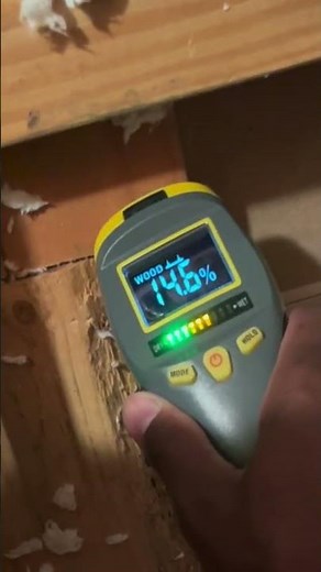 Detect moisture and prevent mold with General Tools! 😎 #moisture #moisturemeter #mold #generaltools