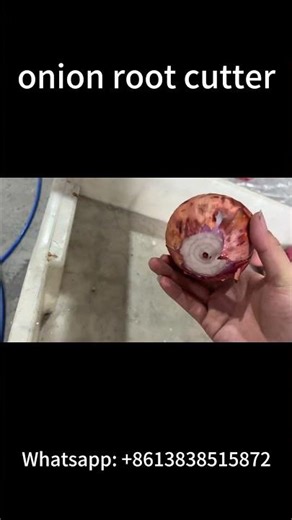 🔥🔥Hot-selling onion root cutter | Onion root stem cutting machine for processing onions