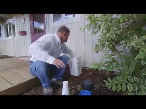 RootX Application Video - YouTube