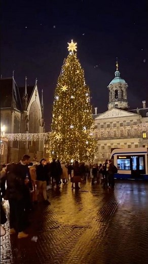 Snowy Amsterdam Nights: A Winter Wonderland at Dam Square