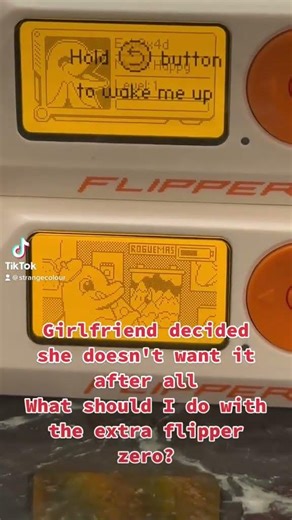 _()_ . . . . . fflipperzeroffrontenddeveloperggadgetsggaming... #Shorts #slicerdroid