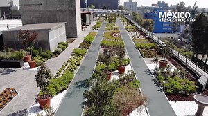 89K views · 1.5K reactions | La CDMX tiene la tercera azotea verde más grande del continente. Conoce más acerca de esta iniciativa sustentable del Infonavit | México Desconocido | Facebook