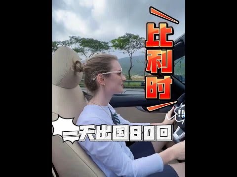 大罐头带你环游世界 #罐头瓶子在荷兰 #海外奇遇见闻录 #环球旅行大玩家 #抖音带你看世界 #南非小绿膏