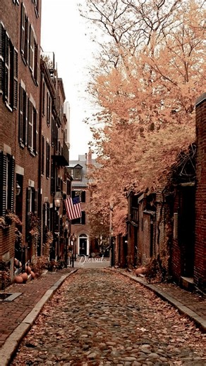 𝒟𝒶𝓃𝒾𝑒𝓁𝒶♡ on Instagram: "𝐢𝐬 𝐚𝐭 𝐒𝐚𝐥𝐞𝐦,𝐌𝐚𝐬𝐬𝐚𝐜𝐡𝐮𝐬𝐞𝐭𝐭𝐞𝐬 ﹋﹋﹋﹋♡﹋﹋﹋﹋ ⋆.ೃ࿔*:･. 🥧˚◞𝐍𝐎𝐓𝐄𝐒♡ ⃗ 🤎*ೃ༄ ✨∂αтє: Oct 22 ☁️тιмє: 12:34pm 💀ѕσυℓѕ:2.1k ┊͙ ୭̥⋆*｡🥧🎃‧₊° 𝐈𝐍𝐅𝐎🧡🤎. . ⇢ ˗ˏˋ ❛❛my favorite couple 🥹🫶🏼❜❜ 𝘊𝘰𝘮𝘦 𝘭𝘪𝘵𝘵𝘭𝘦 𝘤𝘩𝘪𝘭𝘥𝘳𝘦𝘯 𝘐’𝘭𝘭 𝘵𝘢𝘬𝘦 𝘵𝘩𝘦𝘦 𝘢𝘸𝘢𝘺!! tags : @gabi #fancyvlogsbygabi #fancybabies #gabidemartino #gabriellademartino #fancybreakfast #aesthetic #gabi #demartino #fff #sfs #reels #explore stay safe my loves"