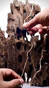 Paludarium with DIY Waterfall #paludarium #diy #waterfall | The Urban Nemophilist