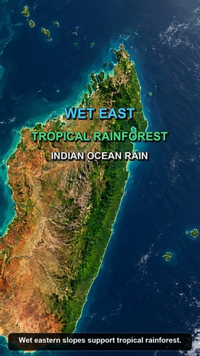 Madagascar An Island World Shaped by Isolation 🇲🇬