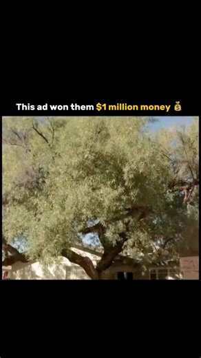 Entrepreneur’s Goals on Instagram: "Follow @entrepreneursgoals for more awesome content like this The legendary “Time Machine” Doritos Super Bowl ad proves one thing: creativity will always outrun budget. Shot for just $300 in someone’s backyard, it beat out polished, big-money commercials and won Doritos’ “Crash the Super Bowl” contest — along with a $1 million prize. The setup is simple genius. A kid builds a “time machine” out of cardboard, tin foil, and pure imagination, then convinces a gro