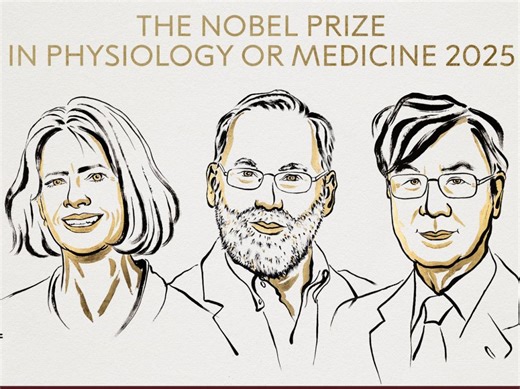 Le prix Nobel de médecine 2025 est attribué à Mary Brunkow, Fred Ramsdell, Shimon Sakaguch