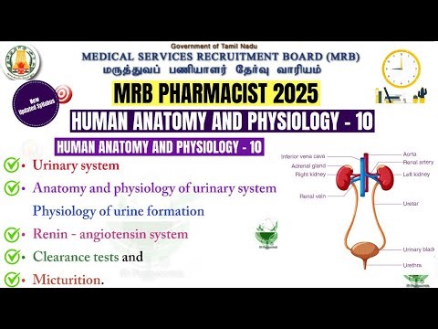 MRB Pharmacist 2025 | Anatomy and Physiology Part - 10 | Urinary system | RAAS | Micturition