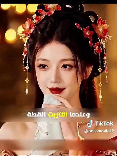 Foreign Movie Summaries and Film Guides
