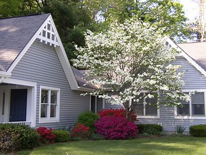 Gallery & Videos - Lathrop Community