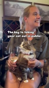 🐱 Every adventure with your cat should be on their terms. 🎒 Always keep their backpack handy and offer it to them regularly. 🏠 It’s their comfort zone and safe retreat, making them feel secure. 🐾 Let them decide when to explore and when to rest. 🌄 Keeping them in control makes the experience fun and stress-free. ✨ Trust your cat, and the adventure will always be a success! #CatAdventure #CatsInControl #CatBackpack #AdventuringWithCats | Best Adventure Cat