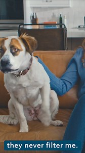 Shows can be so much better without the bad stuff... 𝐕𝐢𝐝𝐀𝐧𝐠𝐞𝐥 😇 allows you to skip whatever you want! ❌ Bad Language ❌ Nudity ❌ Violence/Gore ❌ Alcohol Drugs Watch some of the most popular movies and tv series without the stuff that you don't like. Try it out at www.vidangel.com 👇 | VidAngel