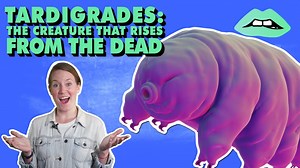 652K views · 854 reactions | Tardigrades — the indestructible animals that can survive space, volcanic erruptions and can rise from the dead. | Everything Explained | Facebook