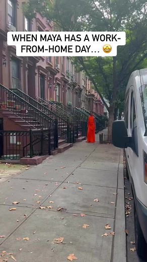 When Maya Haile has a work-from-home day… 🤩 | Marcus Samuelsson