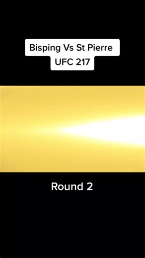 GSP vs Michael Bisping UFC 217 Round 2 Highlights